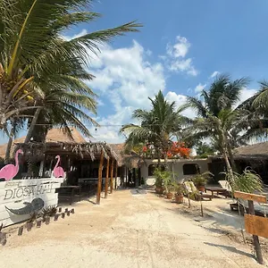 La Diosa Kali Front 3*, Holbox Mexico